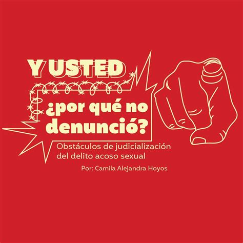 Y Usted Por Qu Nunca Denunci Obst Culos De Judicializaci N Del