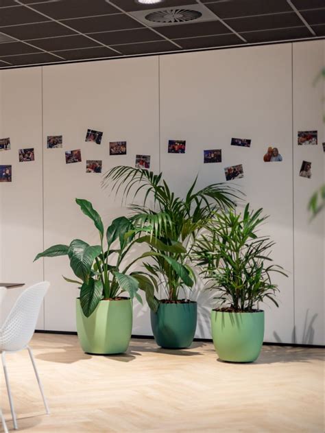 Haal De Tropen In Huis Kantoor Met Deze Set Groene Plantenbakken En