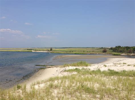 Island Beach State Park – Brick, NJ Shorebeat — News, Real Estate, Events, Community, Sports ...