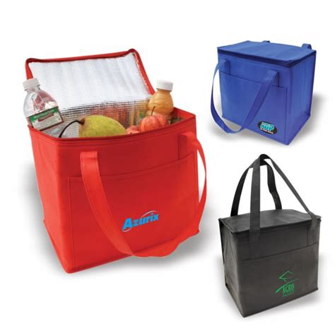 Dcb66 Cooler Bag Non Woven Cooler Bag Insulated Cooler