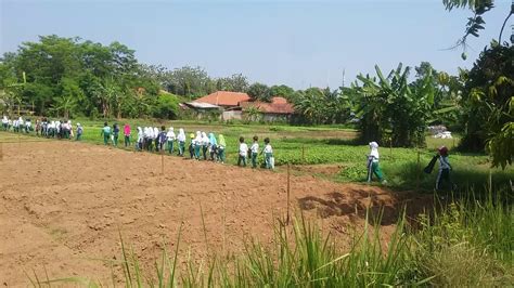 Ke Kebun Kangkung Youtube