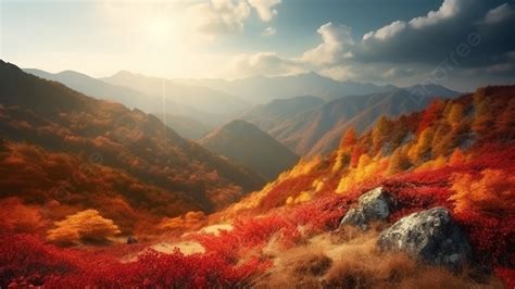 beautiful autumn forest background fall background autumn background