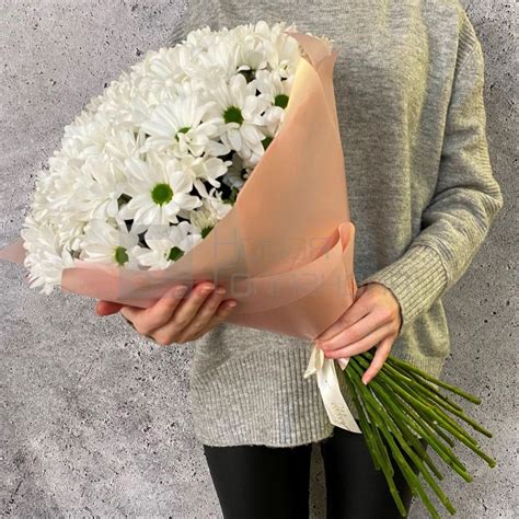 Купить букет из 21 ромашковой хризантемы с доставкой 24 часа.
