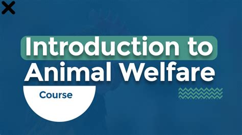 Introduction to Animal Welfare - Animal Welfare Courses