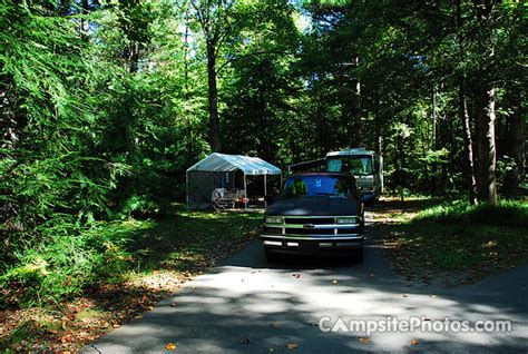 Davidson River - Campsite Photos, Campsite Availability Alerts