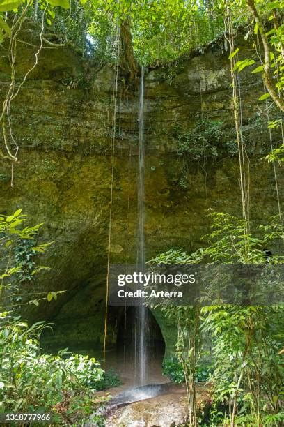 Maricao State Forest Photos and Premium High Res Pictures - Getty Images