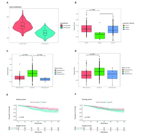 The Immune Score And Stromal Score Are Associated With Download