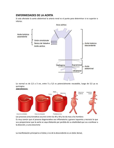 Enfermedades DE LA Aorta ENFERMEDADES DE LA AORTA Si Esta Afectado La