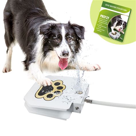 Outdoor Dog Water Fountain Auto Fill Pet Water Bowl With 5m Hose & Tap