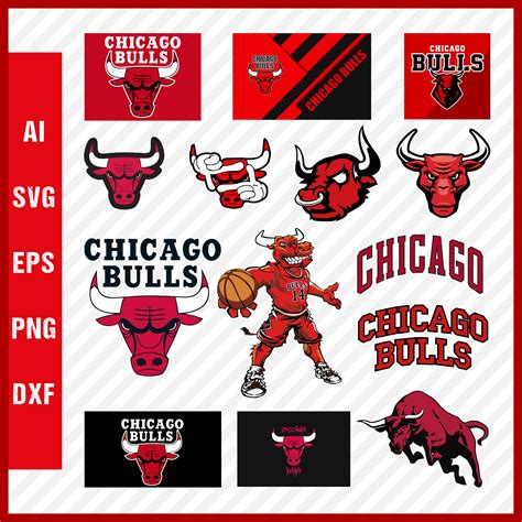 chicago bulls logo 8