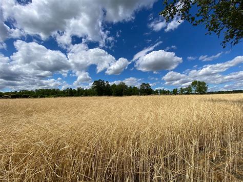 North Carolina Farm Land For Sale Hayden Outdoors