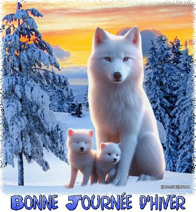 Louve blanche et ses petits animé bonne journée d hiver les