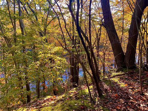 Eighteen Mile Creek Conservation Park Hamburg NY Adventures In New