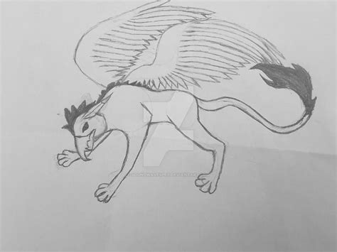 Griffin Drawing by SoundwavesPet on DeviantArt