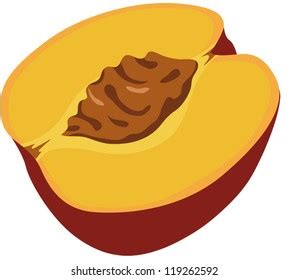 Peach Pit Clip Art