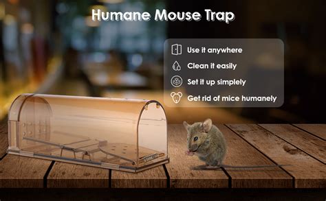 Hux Eye Humane Live Mouse Traps Catch Mice No Kill Safe Reusable Small