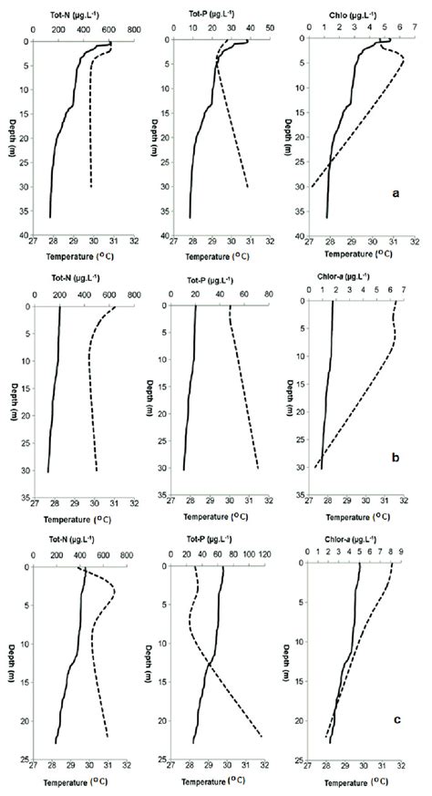 Vertical Profile Of Chlorophyll A Phosphorus And Nitrogen Download Scientific Diagram