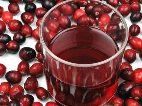 Брусника при цистите: свойства, противопоказания и рецепты для ...