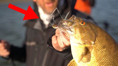 Smallmouth Bass Can T Resist This Bait In Shallow Water YouTube