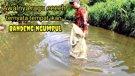 Awalnya Ragu Jala Ikan Di Sini Ternyata Sarang Ikan Bandeng Pada