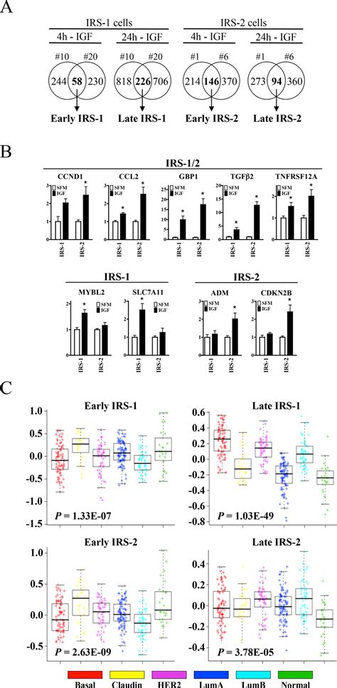 Irs Isoforms Mediate Distinct Gene Expression Profiles Functional