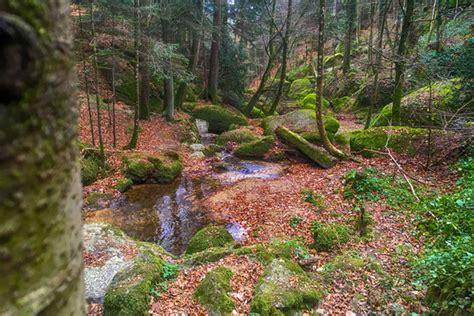 Wolfsschlucht Bad Kreuzen Wolfsschlucht