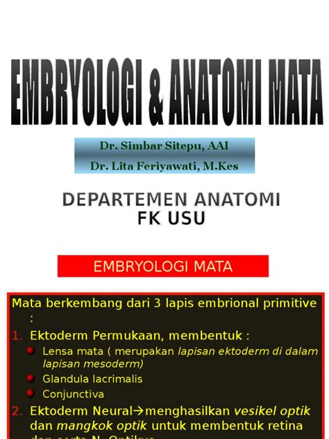 Pdf K Anatomi Embriologi Dan Anatomi Mata Dokumen Tips