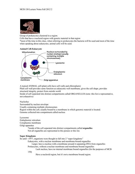 SOLUTION Mcb 150 Exam I Notes Docx Studypool