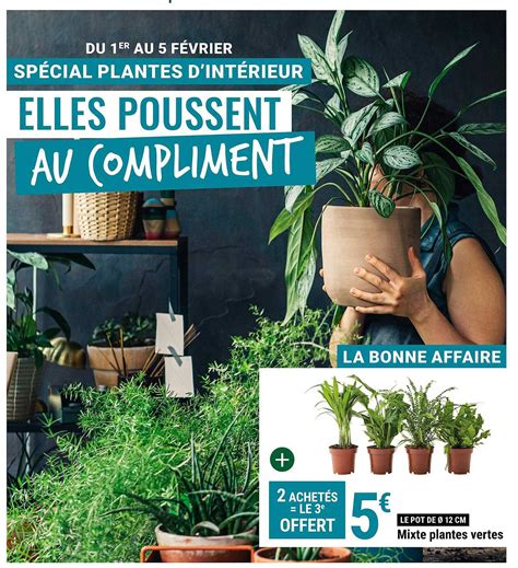 Promo Mixte Plantes Vertes Chez Gamm Vert Icatalogue Fr