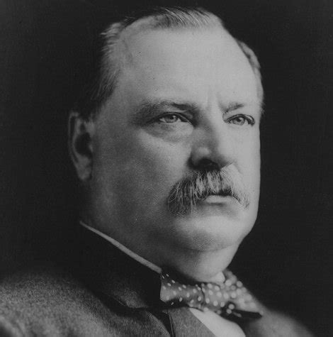 Grover Cleveland: Biography & Presidency | SchoolWorkHelper