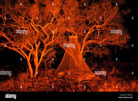 Camping, outback Australia Stock Photo - Alamy