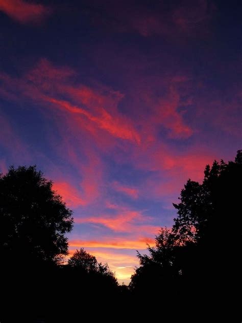 The Sky Is Pink And Purple As It Sets In The Distance With Trees