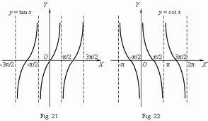 graph of tan|x| and cot|x| - Maths - Trigonometric Functions - 3104132 | Meritnation.com