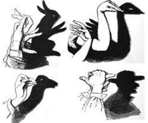 31 Hand shadows ideas | hand shadows, shadow puppets, shadow art