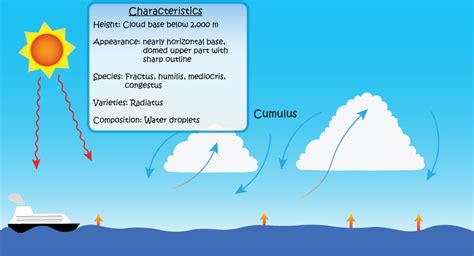 Cumulonimbus Clouds Diagram