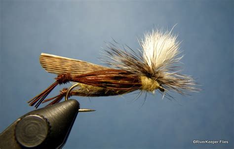 Hopper Fly Patterns Riverkeeper Flies Fly Tying Patterns Fly Tying