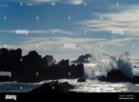 Nature S Power Unleashed Sunlit Wave Crashing Into Rocky Shore Stock