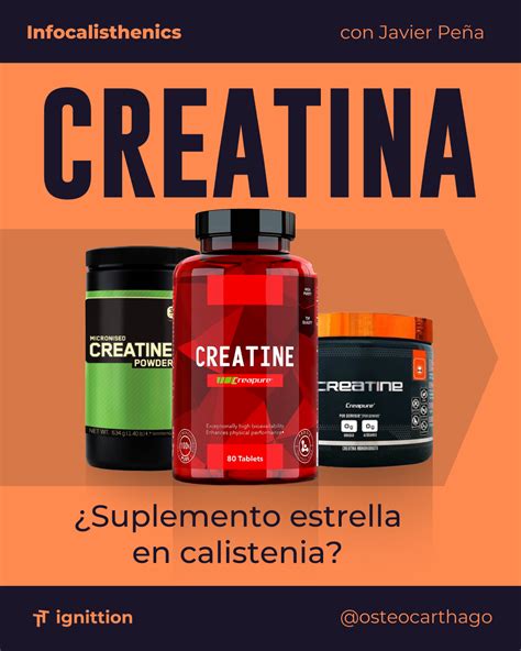 Es La Creatina El Mejor Suplemento Deportivo En Calistenia