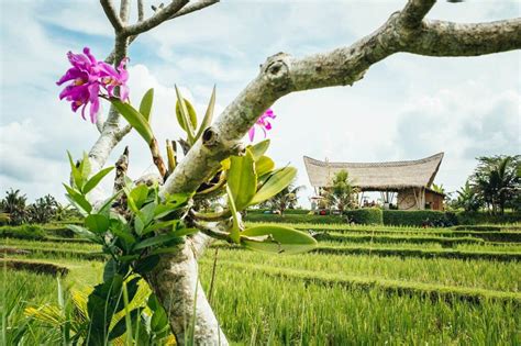 10 Best Hidden Places In Bali To Buy Real Estate