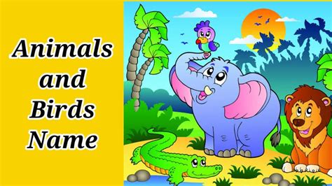 Animals And Birds Name Pre School Learn English Words Video For