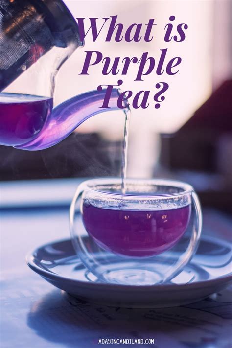 What Is Purple Tea