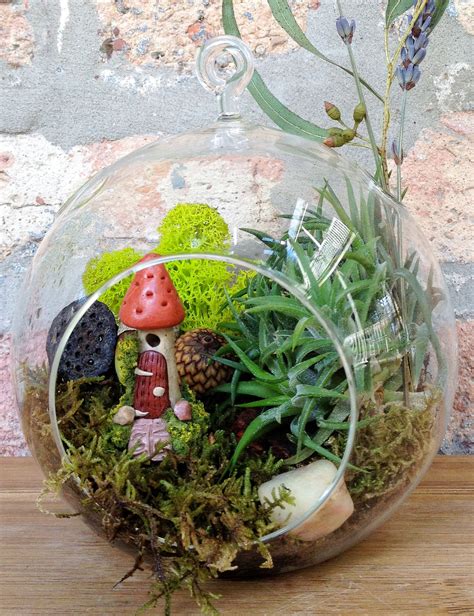 Beautiful Plant Terrariums Home Designing