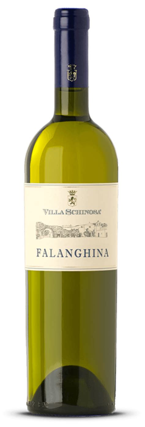 ITALIAN WINE - FALANGHINA – Guidi Wines