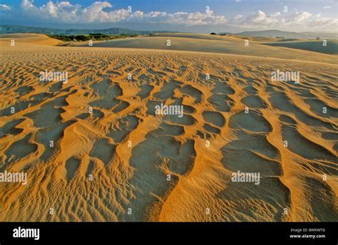 Venezuela South America Coro Parque Nacional Medanos De Coro Sand dunes ...