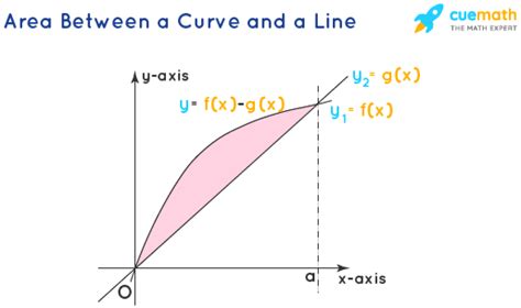 Area Under The Curve - Method, Formula, Solved Examples, FAQs (2023)