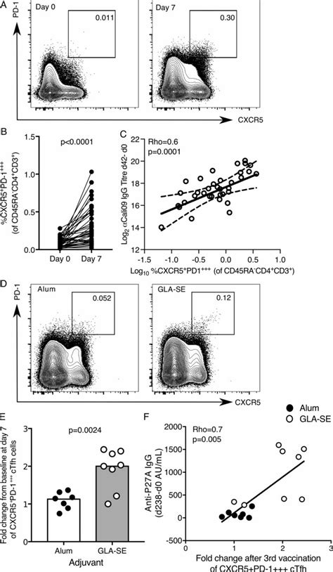 The Expansion Of Cxcr Pd Ctfh Cells Is Enhanced By A Gla Se