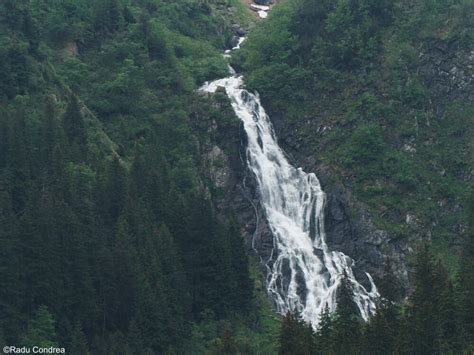 Nine Scenic Waterfalls in Romania You Should See