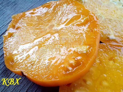 Томат КВХ: описание сорта, отзывы, фото, урожайность | tomatland.ru