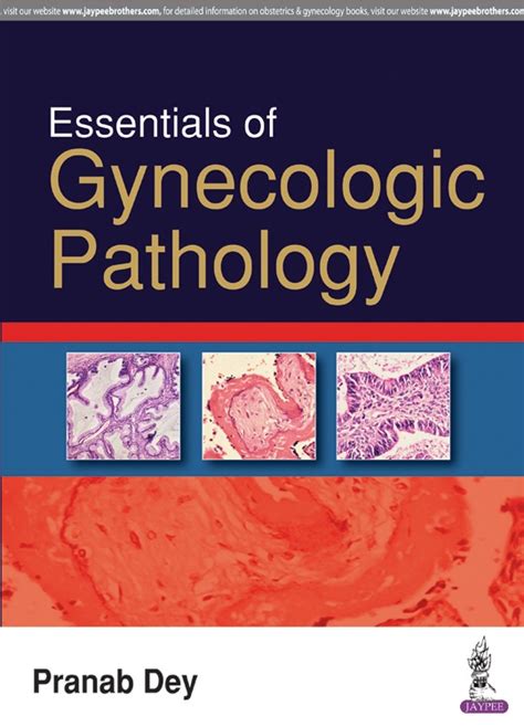 Diagnostic Gynecologic And Obstetric Pathology 3rd Ed 洋書／南江堂