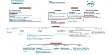 SOLUTION Audit Report Contents And Formate Mind Map Studypool